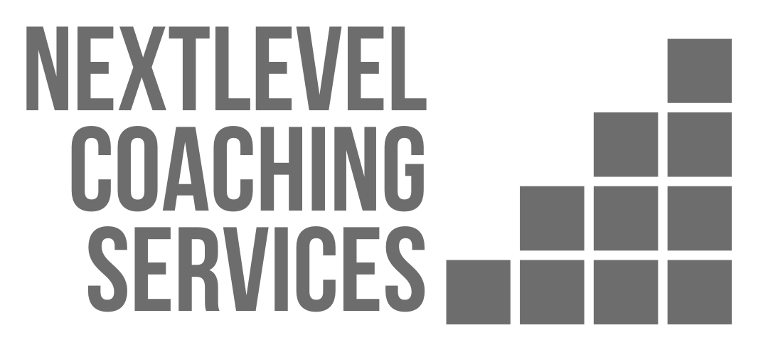 Next Level website logo