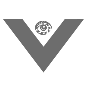 viewsion gray