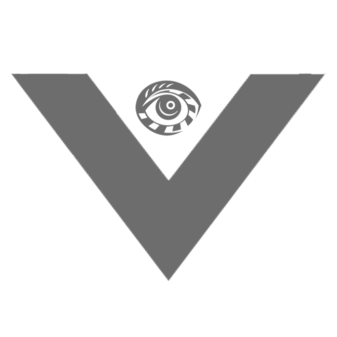viewsion gray